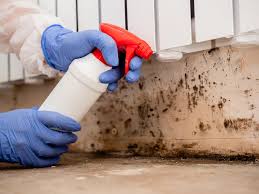 Best Forensic Mold Investigation  in Kalama, WA